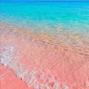 Meet your Posher, Skye